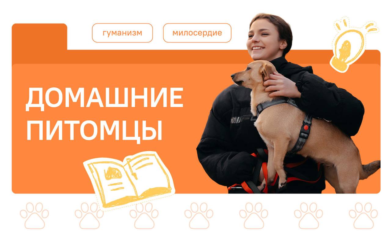 Разговоры о важном 01.12.2025 "Домашние питомцы"